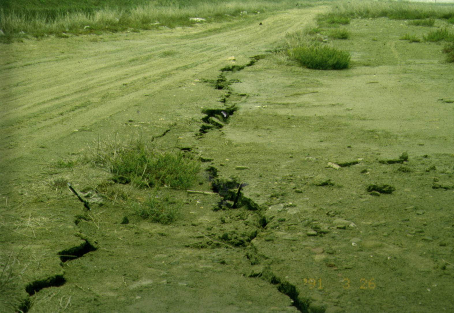 臺南市將軍區(臺南縣將軍鄉)馬沙溝鹽興橋附近道路地裂，並造成地面陷落。(溫國樑博士提供)